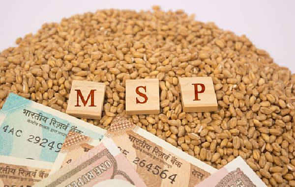 Growth in minimum support prices (MSP) of cotton for the period